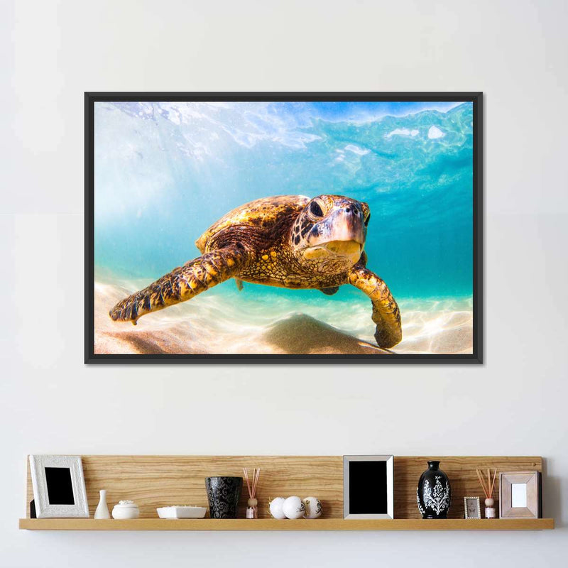 Hawaiian Turtle Wall Art