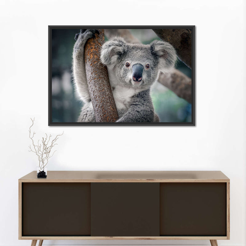 Happy Koala Wall Art