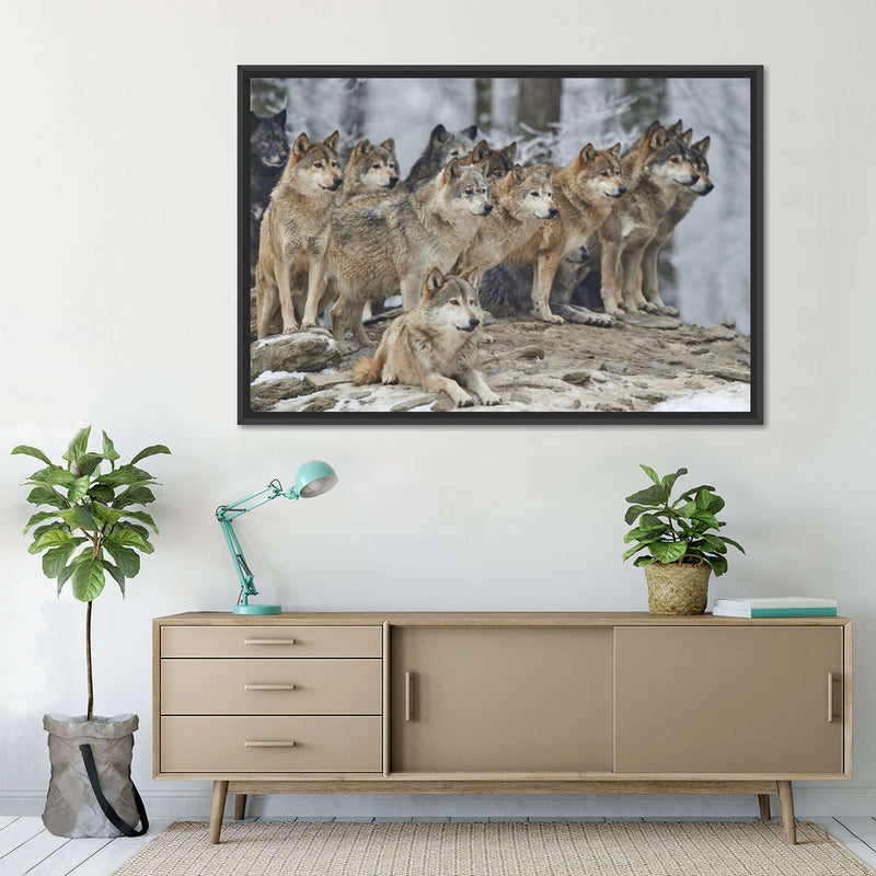 Wild Wolf Pack Wall Art