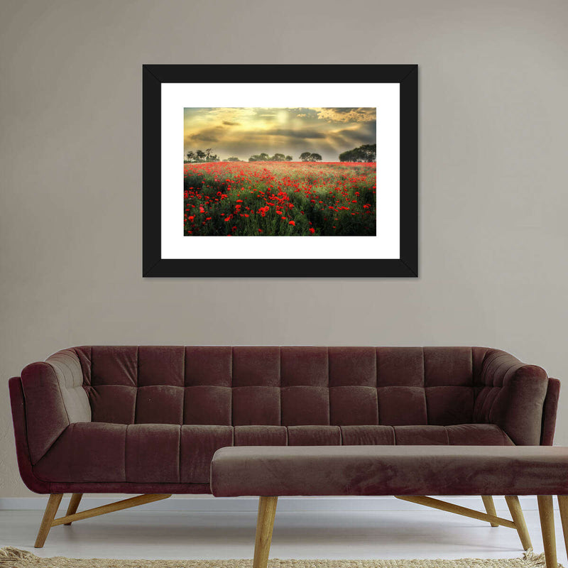 Scandinavian Poppy Field Wall Art