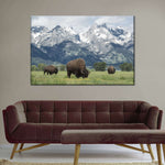 Grazing Teton Bison Wall Art