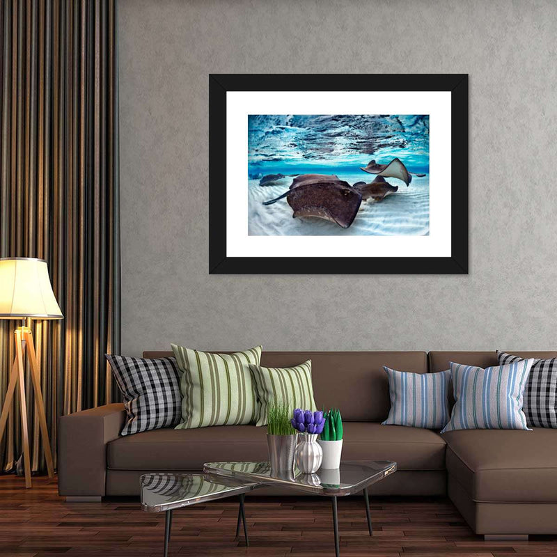 Stingrays Sea Life Wall Art