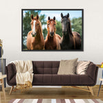 Young Horses Wall Art
