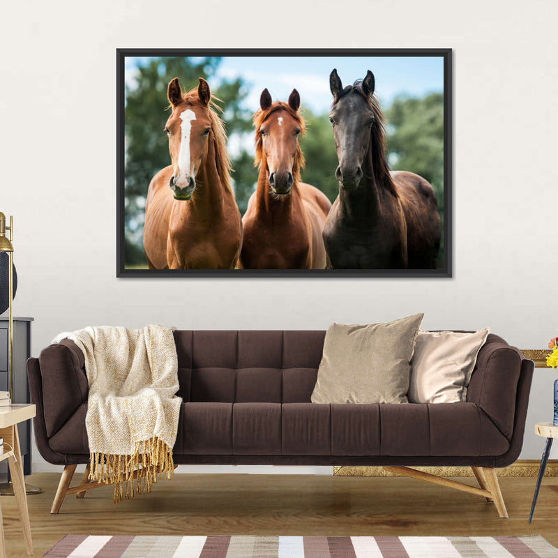 Young Horses Wall Art
