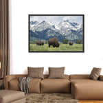 Grazing Teton Bison Wall Art