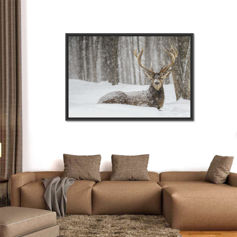 Snow Covered Elk Wall Art