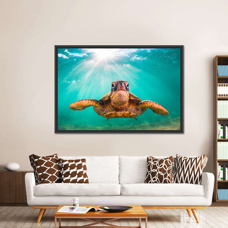 Maui Green Turtle Wall Art