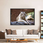 Resting White Tiger Wall Art