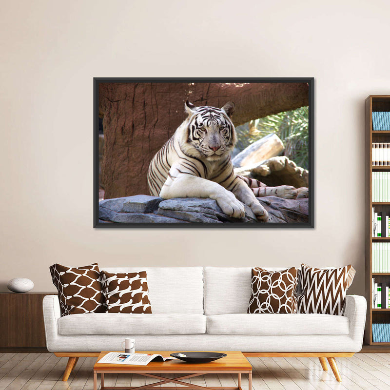Resting White Tiger Wall Art
