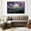 Rare Cannabis Plant Wall Art