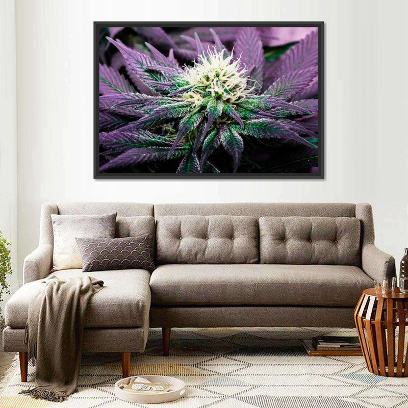 Rare Cannabis Plant Wall Art