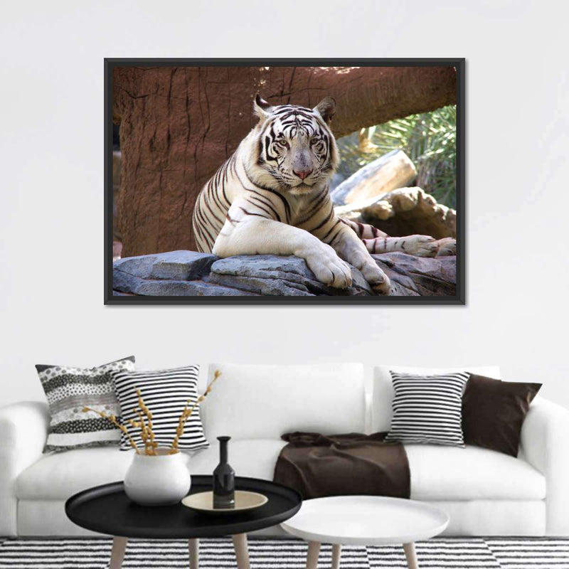 Resting White Tiger Wall Art