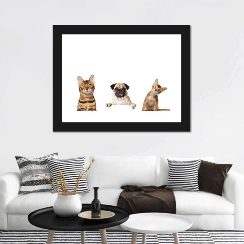 Pug And Cats Wall Art