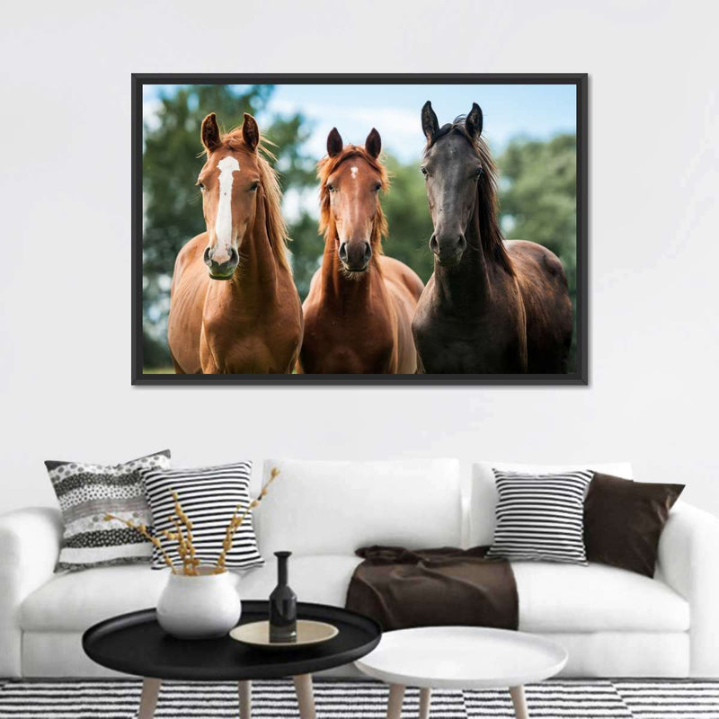 Young Horses Wall Art