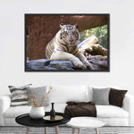 Resting White Tiger Wall Art