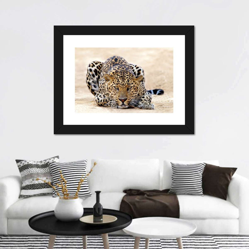 Watchful Jaguar Wall Art