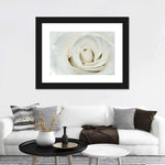 White Rose Close Up Wall Art