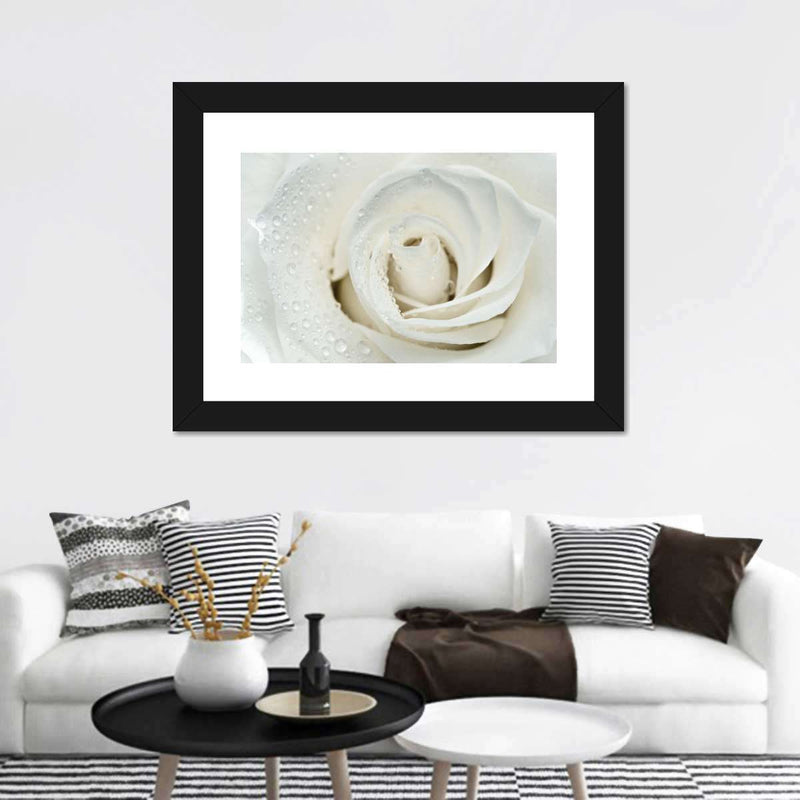 White Rose Close Up Wall Art