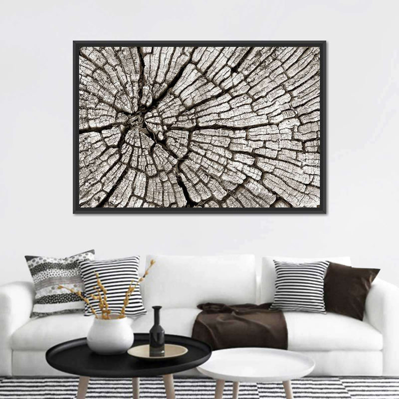 Tree Stump Wall Art