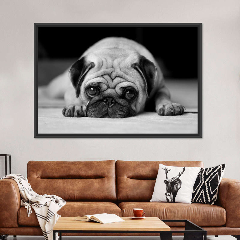 Sad Pug Wall Art