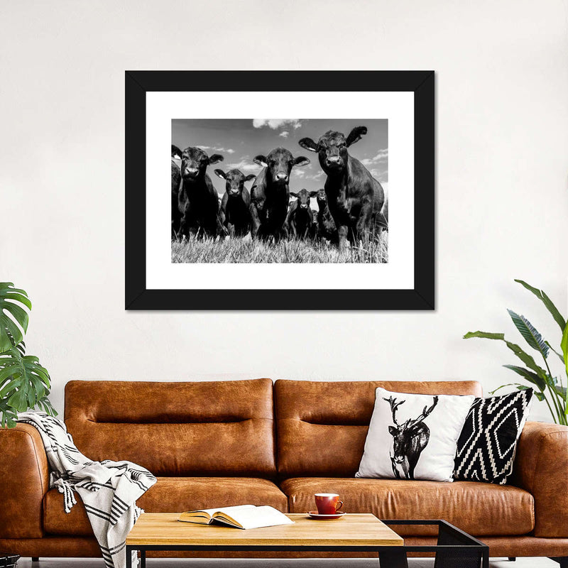 Monochrome Angus Cows Wall Art