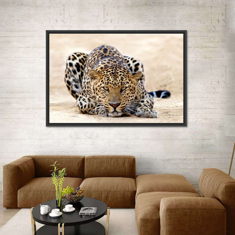 Watchful Jaguar Wall Art