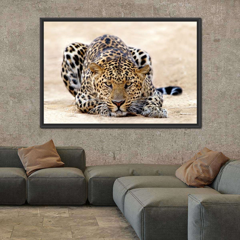 Watchful Jaguar Wall Art
