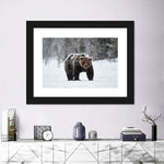 Winter Grizzly Bear Wall Art
