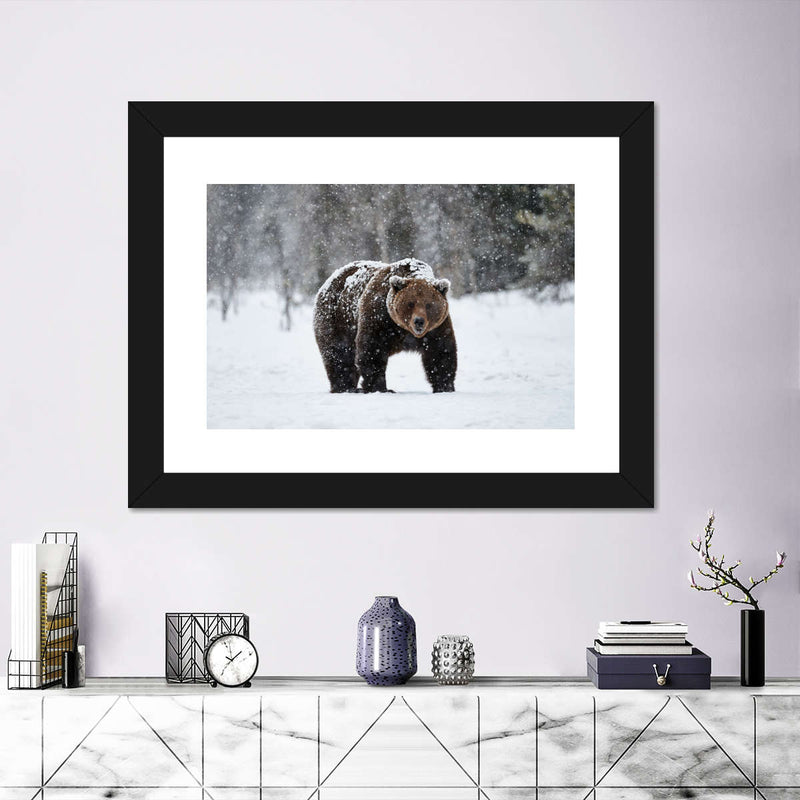 Winter Grizzly Bear Wall Art