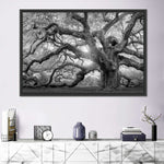 Monochrome Angel Oak Tree Wall Art