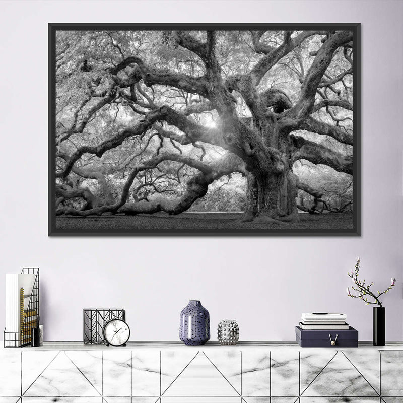 Monochrome Angel Oak Tree Wall Art