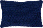 Ockhuizen Navy Pillow Cover