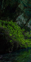 Melissani Cave Wall Art