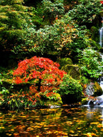 Mesmerizing Japanese Waterfall Wall Art