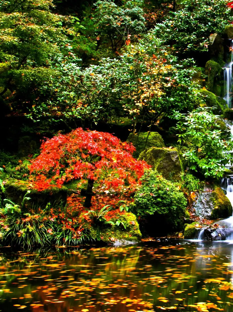 Mesmerizing Japanese Waterfall Wall Art