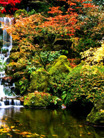 Mesmerizing Japanese Waterfall Wall Art