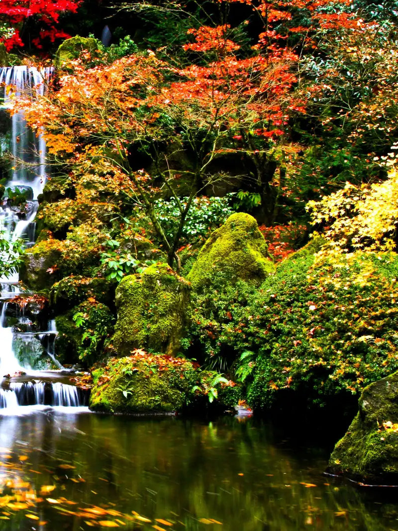 Mesmerizing Japanese Waterfall Wall Art