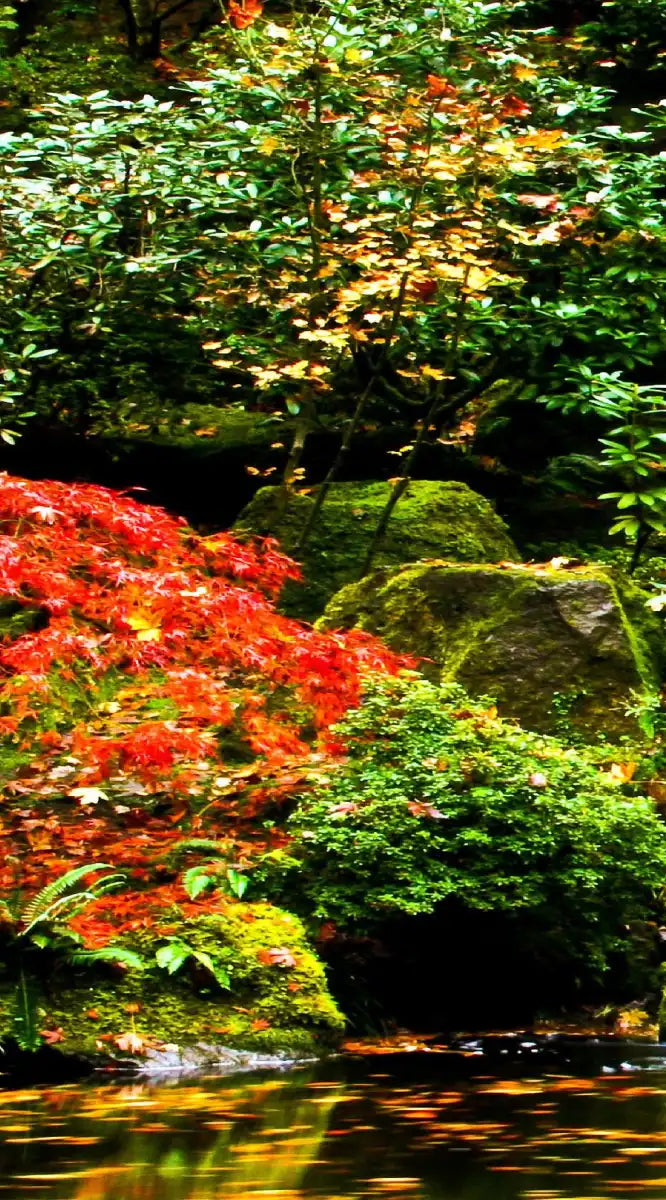 Mesmerizing Japanese Waterfall Wall Art
