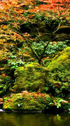 Mesmerizing Japanese Waterfall Wall Art