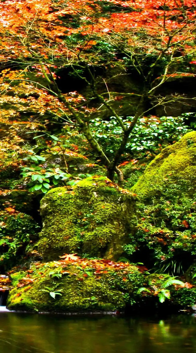 Mesmerizing Japanese Waterfall Wall Art