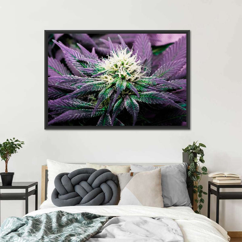 Rare Cannabis Plant Wall Art