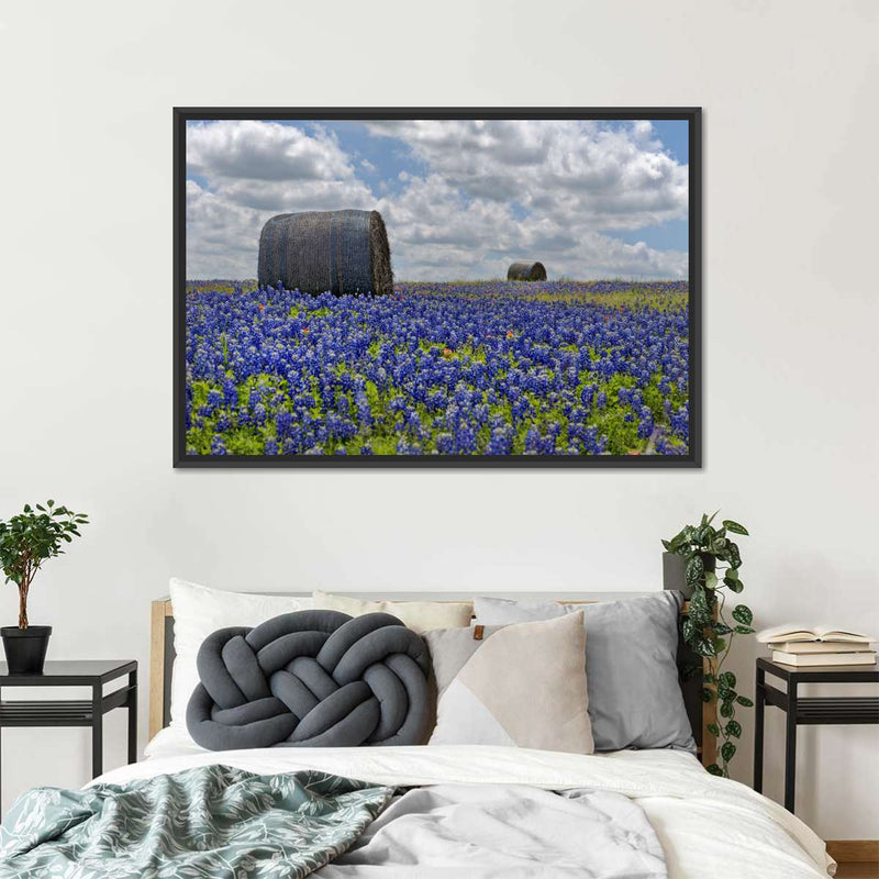 Texas Bluebonnets Wall Art