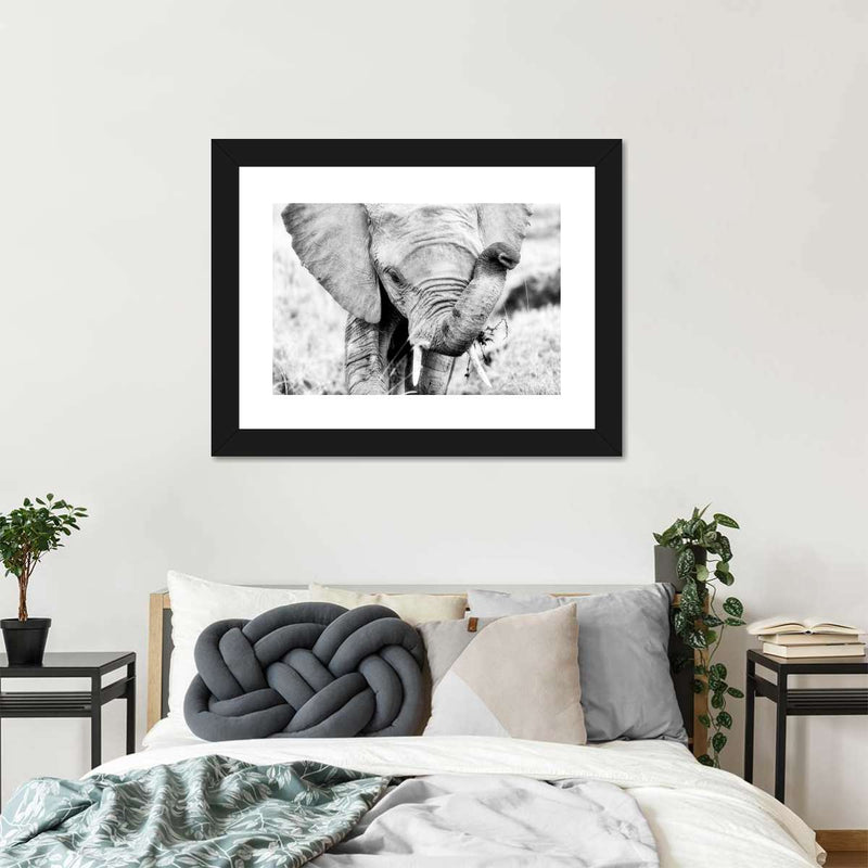 Kenyan Baby Elephant Wall Art
