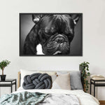 Melancholic French Bulldog Wall Art