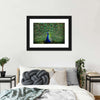 Peacock Feathers Wall Art