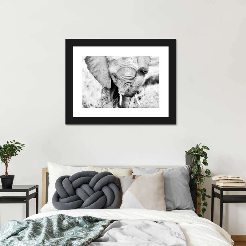 Kenyan Baby Elephant Wall Art