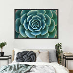 Live Succulent Wall Art