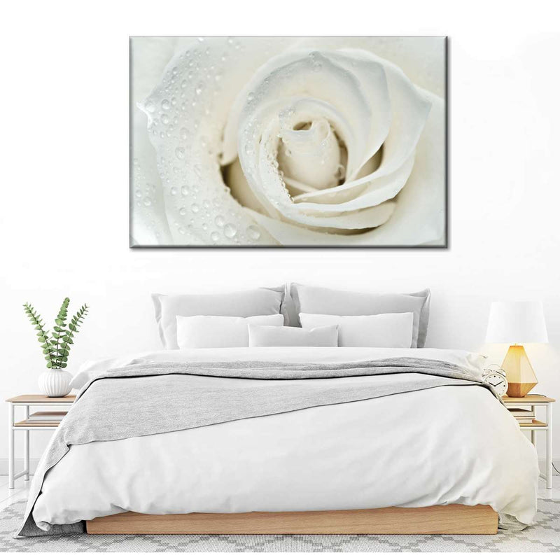 White Rose Close Up Wall Art