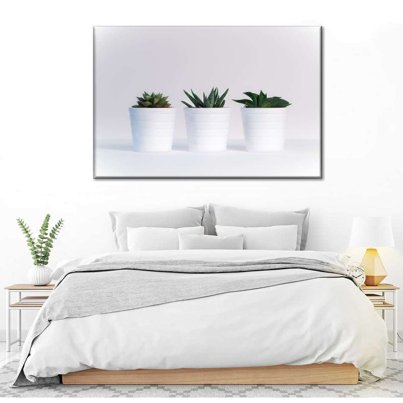 Three Succulents Wall Art