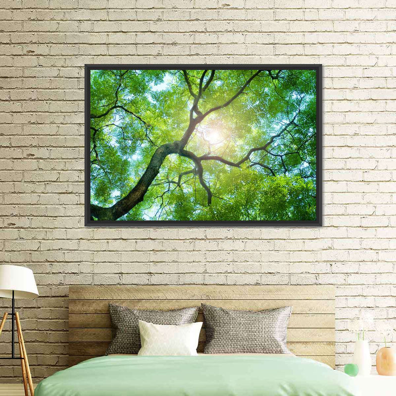 Tree Canopy Sunshine Wall Art